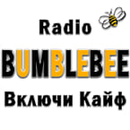 BumbleBee - 📻 Listen to Online Radio Stations Worldwide - RadioWaveOnline.com