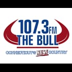 107.3 The Bull - 📻 Listen to Online Radio Stations Worldwide - RadioWaveOnline.com