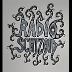 Radio Schizoid Chillout - 📻 Listen to Online Radio Stations Worldwide - RadioWaveOnline.com