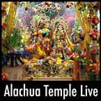 Alachua Temple Live Feed - 📻 Listen to Online Radio Stations Worldwide - RadioWaveOnline.com