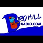 Birdhill Radio - 📻 Listen to Online Radio Stations Worldwide - RadioWaveOnline.com